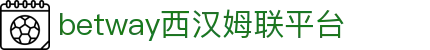 中国·必威(西汉姆联)官方网站-BETWAYSPO